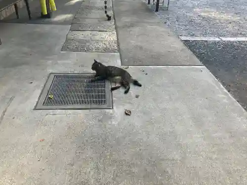 所澤神明社(埼玉県)