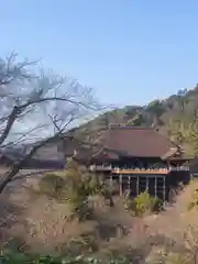 清水寺の建物その他