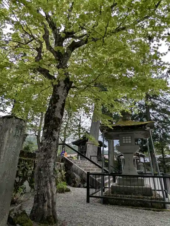 飛驒一宮水無神社(岐阜県)