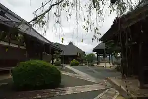 観音寺の景色(2023年04月20日(木) 08時44分48秒投稿)