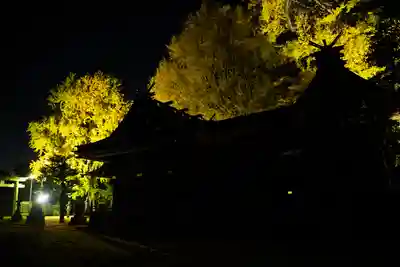 玉敷神社(埼玉県)