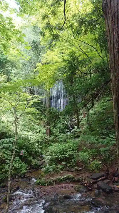達沢不動滝の周辺