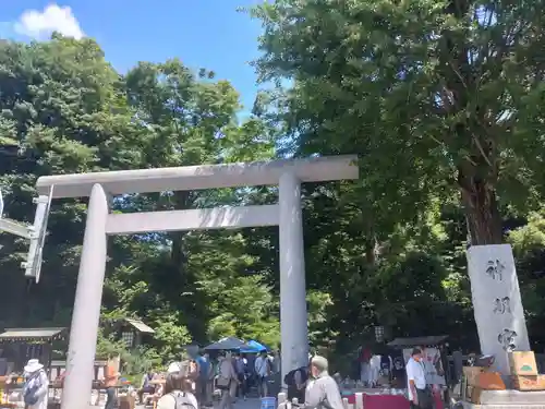 阿佐ヶ谷神明宮の鳥居