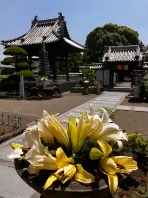真言宗　善通寺派　薬王寺(香川県)