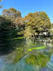 富士山本宮浅間大社(静岡県)