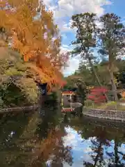 武蔵一宮氷川神社(埼玉県)