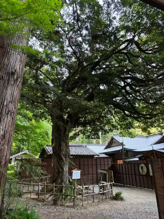 小國神社の{uncategorized: "未分類", other: "その他", undefined: "問題あり", building: "その他建物", grave: "お墓", sacred_gate: "鳥居", guardian: "狛犬", statue: "像", buddha: "仏像", history: "歴史", nature: "自然", garden: "庭園", animal: "動物", pagoda: "塔", temizu: "手水舎", mountain_gate: "山門・神門", sanctuary: "本殿・本堂", subordinate: "末社・摂社", art: "芸術", scenery: "景色", jizo: "地蔵", ema: "絵馬", goshuin: "御朱印", omikuji: "おみくじ", items: "授与品その他", amulet: "お守り", goshuincho: "御朱印帳", eats: "食事", festival: "お祭り", votive_dance: "神楽", shichigosan: "七五三参", wedding: "結婚式", experience: "体験その他", initially: "初詣", around: "周辺", anti_infection: "感染症対策"}