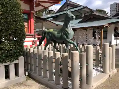 西宮神社の狛犬