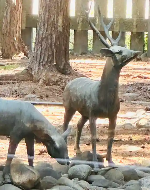 福井神社(福井県)