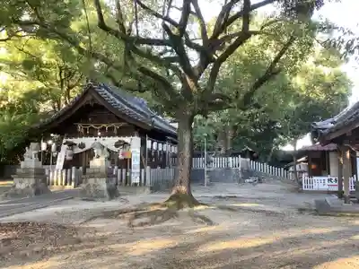 七所神社の本殿・本堂