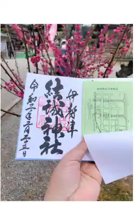 枝垂れ梅がすてきです