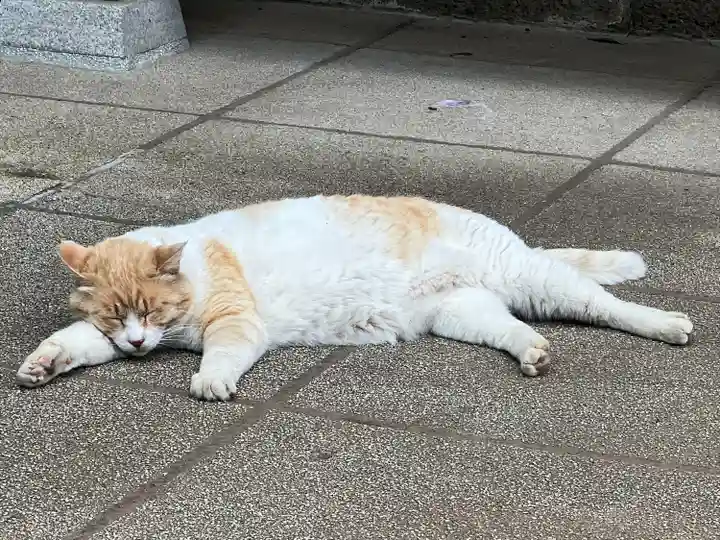 雀神社(茨城県)