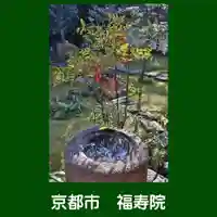 福壽院(京都府)