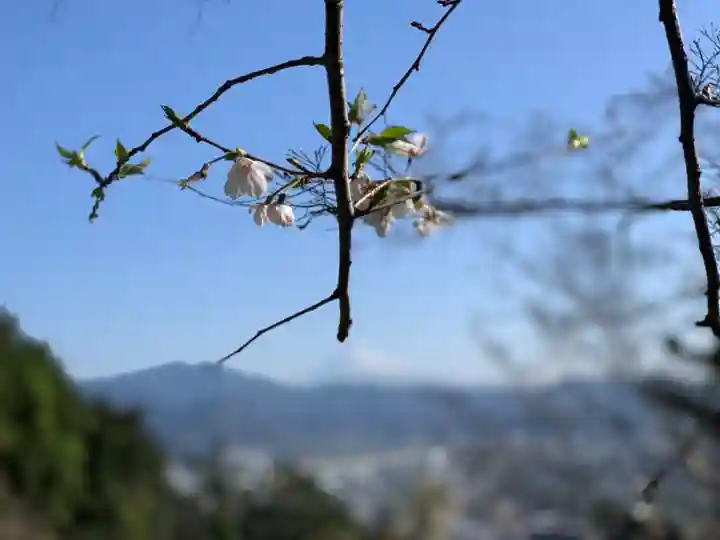 静岡浅間神社の自然