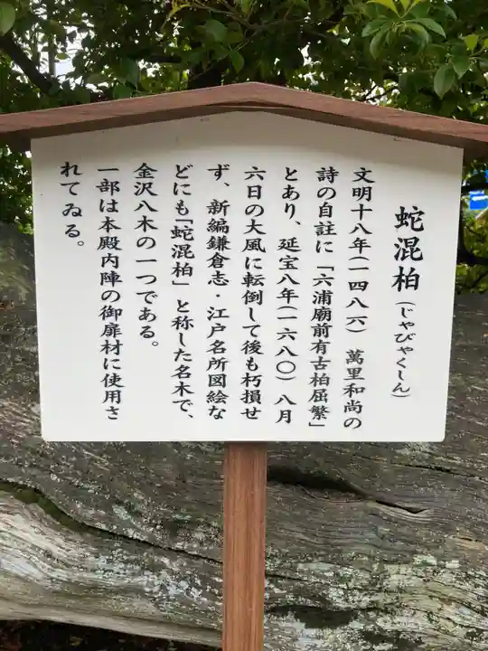 瀬戸神社(神奈川県)