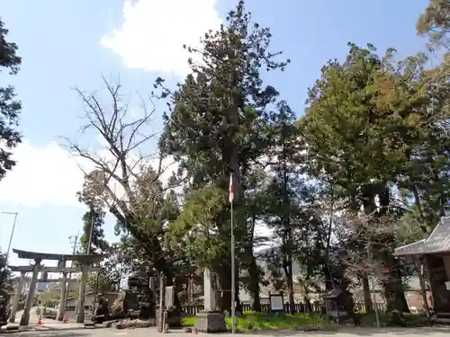 大川上美良布神社の自然