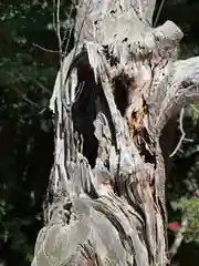 網走神社(北海道)