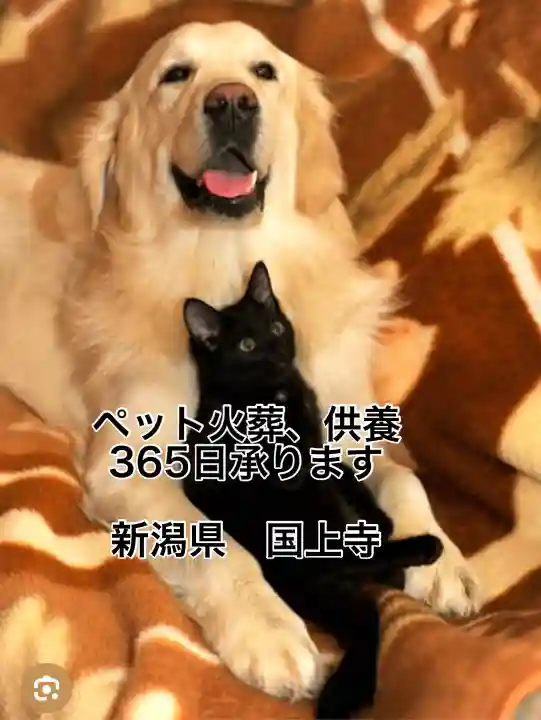 国上寺(新潟県)