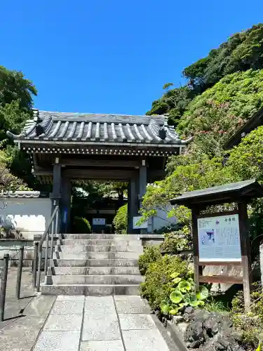 安養院　(田代寺）(神奈川県)