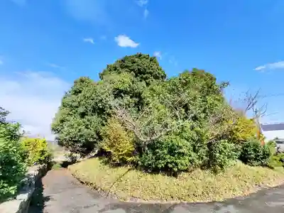 厳島神社(弁天山)(徳島県)