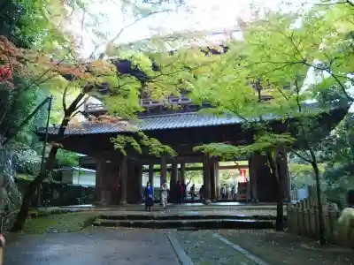 永源寺の{uncategorized: "未分類", other: "その他", undefined: "問題あり", building: "その他建物", grave: "お墓", sacred_gate: "鳥居", guardian: "狛犬", statue: "像", buddha: "仏像", history: "歴史", nature: "自然", garden: "庭園", animal: "動物", pagoda: "塔", temizu: "手水舎", mountain_gate: "山門・神門", sanctuary: "本殿・本堂", subordinate: "末社・摂社", art: "芸術", scenery: "景色", jizo: "地蔵", ema: "絵馬", goshuin: "御朱印", omikuji: "おみくじ", items: "授与品その他", amulet: "お守り", goshuincho: "御朱印帳", eats: "食事", festival: "お祭り", votive_dance: "神楽", shichigosan: "七五三参", wedding: "結婚式", experience: "体験その他", initially: "初詣", around: "周辺", anti_infection: "感染症対策"}