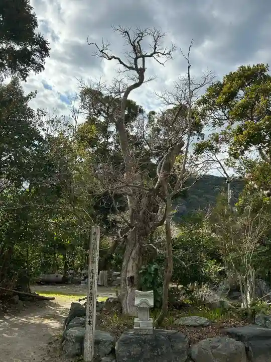 天津神明宮の{uncategorized: "未分類", other: "その他", undefined: "問題あり", building: "その他建物", grave: "お墓", sacred_gate: "鳥居", guardian: "狛犬", statue: "像", buddha: "仏像", history: "歴史", nature: "自然", garden: "庭園", animal: "動物", pagoda: "塔", temizu: "手水舎", mountain_gate: "山門・神門", sanctuary: "本殿・本堂", subordinate: "末社・摂社", art: "芸術", scenery: "景色", jizo: "地蔵", ema: "絵馬", goshuin: "御朱印", omikuji: "おみくじ", items: "授与品その他", amulet: "お守り", goshuincho: "御朱印帳", eats: "食事", festival: "お祭り", votive_dance: "神楽", shichigosan: "七五三参", wedding: "結婚式", experience: "体験その他", initially: "初詣", around: "周辺", anti_infection: "感染症対策"}