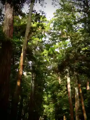 鹿島神宮(茨城県)