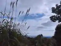 高尾山薬王院の自然