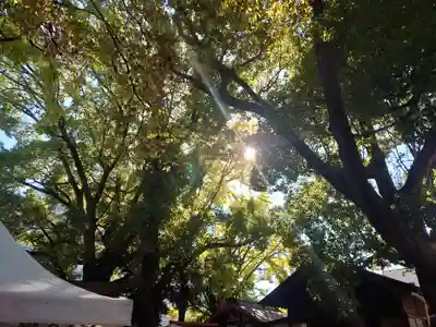 笠䅣稲荷神社(神奈川県)