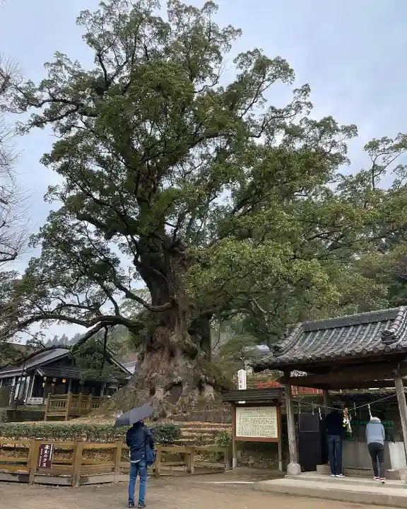 蒲生八幡神社(鹿児島県)
