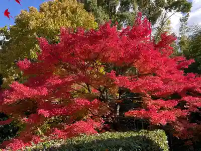 化野念仏寺(京都府)