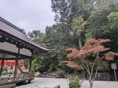 賀茂別雷神社（上賀茂神社）(京都府)