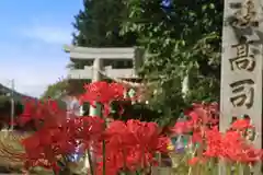 高司神社〜むすびの神の鎮まる社〜の鳥居