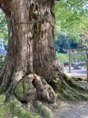 石部神社(兵庫県)