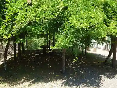 丹生川上神社（上社）(奈良県)