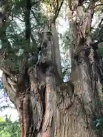 崇禅寺のその他建物