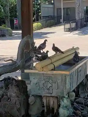 妙法寺(東京都)