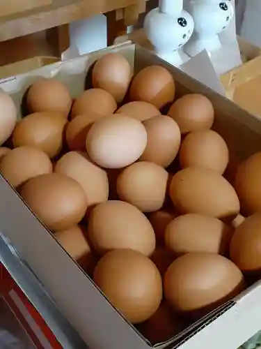 伏木香取神社(茨城県)