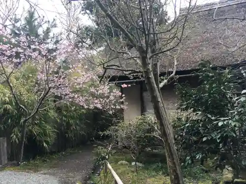 浄智寺(神奈川県)