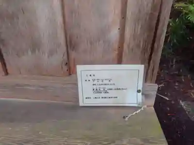 仁科神明宮(長野県)