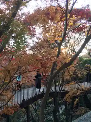 清水寺(京都府)