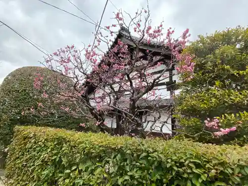 本寿寺(京都府)