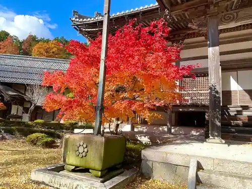 東光寺(滋賀県)