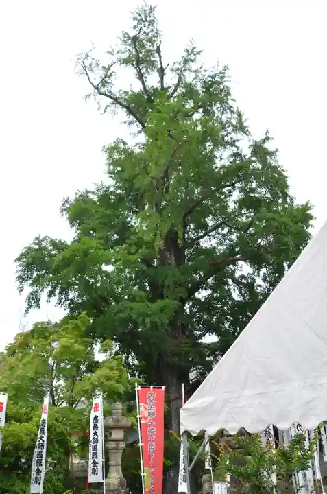 大福田寺(三重県)