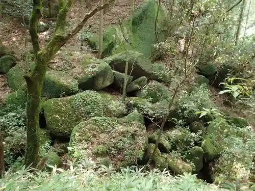 天乃石立神社の自然