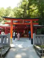 九頭龍神社新宮の鳥居