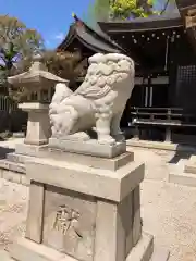 荒井神社の狛犬