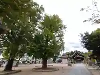 寺津八幡社(寺津町)のその他建物