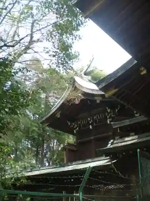 大宮八幡宮の本殿・本堂
