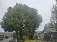 浄蓮華院(京都府)